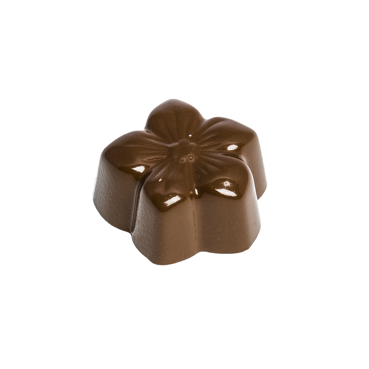 Praline aux fleurs, 28 fois