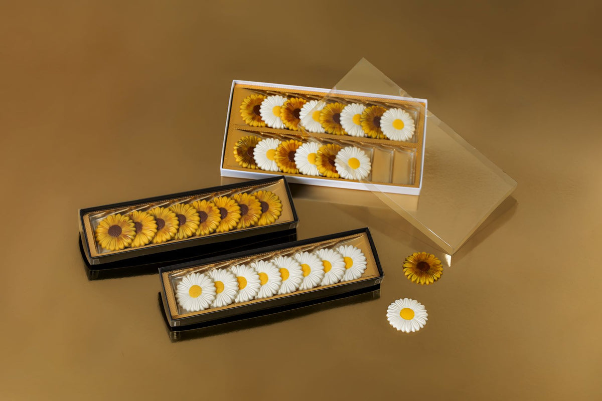 Margerite / Sonnenblume